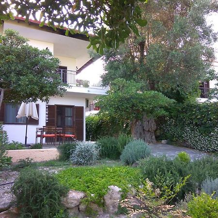 Neria Summer Houses Ханиоти Экстерьер фото
